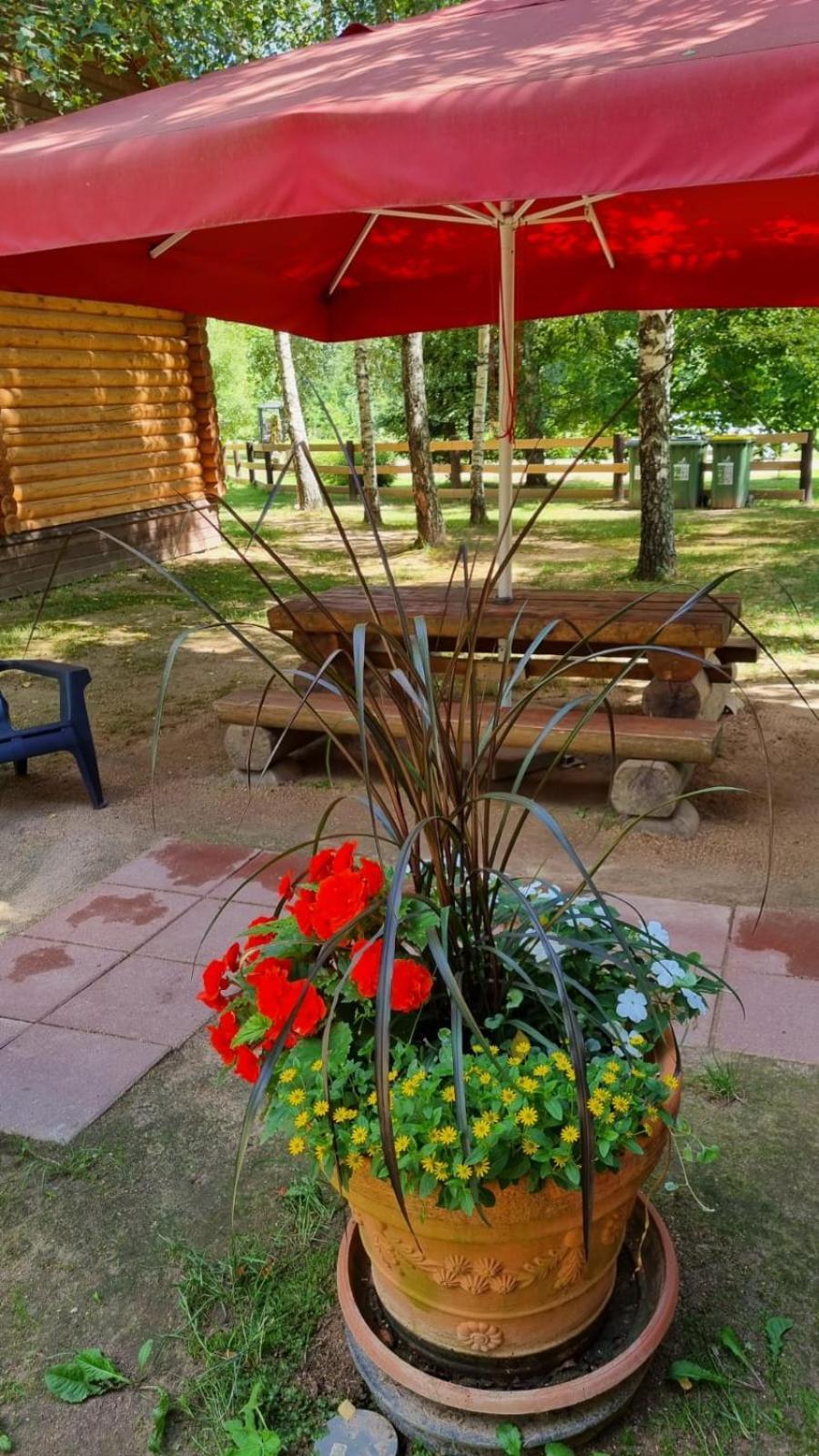 Camping Oskalns Cēsis Екстериор снимка